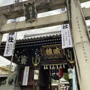 福岡県天然記念物櫛田の銀杏、博多祇園山笠