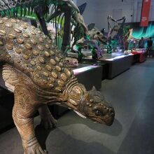 恐竜の模型の展示方法にドキッとします。