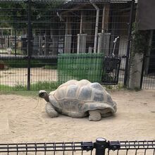 西海国立公園九十九島動植物園(森きらら)