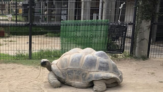 西海国立公園九十九島動植物園(森きらら)