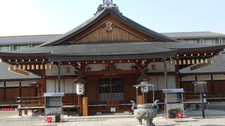 見ごたえたっぷり