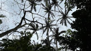 レンタカー借りたなら是非