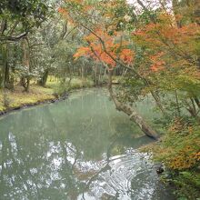 庭園の池　紅葉が美しい