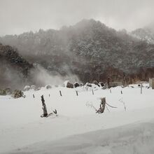 平床大噴泉