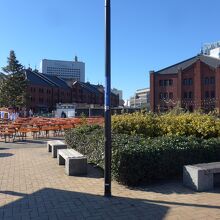 赤レンガ倉庫の建物とクリスマスツリー