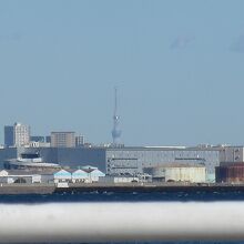 赤レンガ倉庫から見えた東京スカイツリー