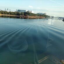 京浜運河の横をモノレールは走る