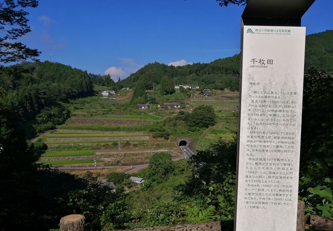 檮原町神在居の千枚田