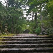 牧野植物園とセットで訪問しました