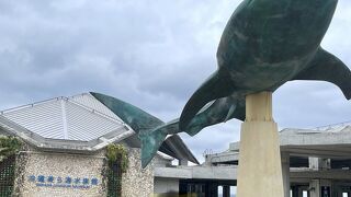 人気水族館だけありますね！