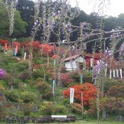 けっこう登ります。