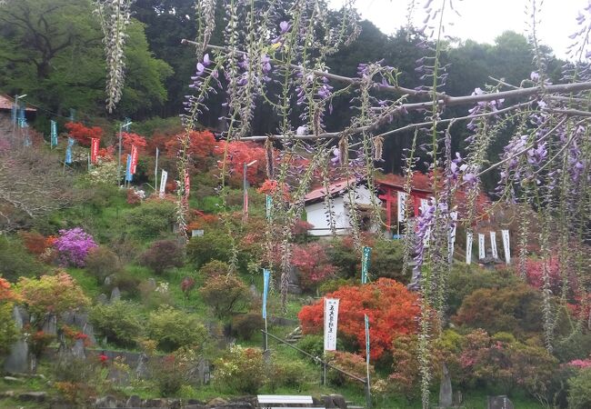 五大尊つつじ公園