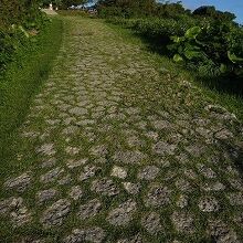 石畳道を上ってゆきます