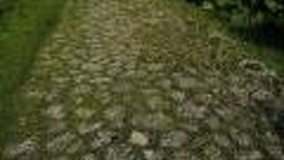 東シナ海がきれい