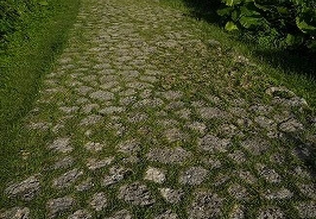 東シナ海がきれい