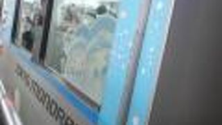 キキララの車両に出会えました！