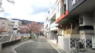 熱海親水公園前の旅館「渚館」の横の小さな糸川べり。1月なのに桜！