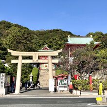 全景　良い天気で赤が映えてる