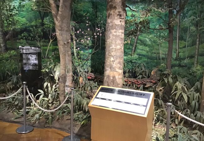 きしわだ自然資料館 クチコミ・アクセス・営業時間｜岸和田