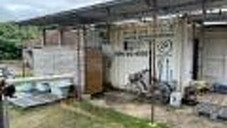 黒島ダイビングで利用！