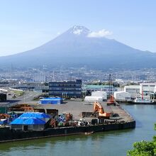 展望台からの景色