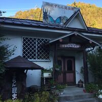 こちらは昆虫館