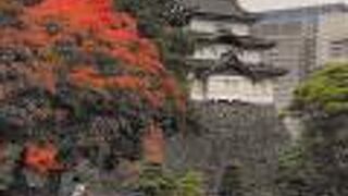 秋の乾通りの一般公開