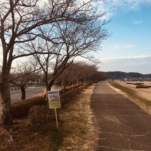 揖保川せせらぎ公園 正條桜づつみ