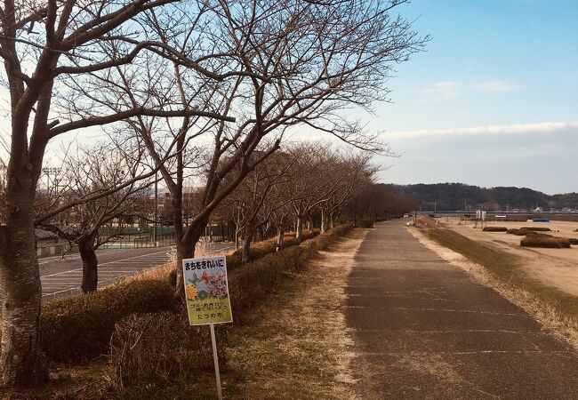 揖保川せせらぎ公園 正條桜づつみ