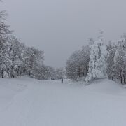 霧氷の樹林帯をかんじきハイク