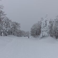 蔵王中央高原