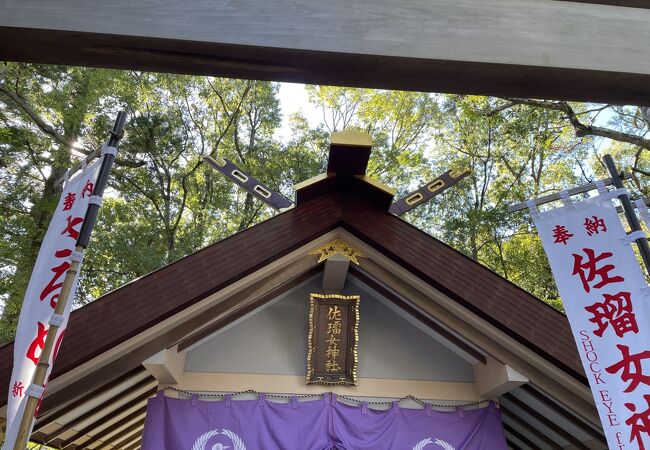 芸能人もお参りする神社