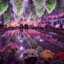 ガーデン内　幻想的でした