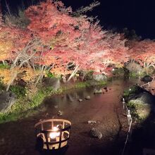 見事な紅葉のライトアップ　水に映えるのがまたよし。