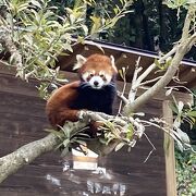 見応えある動物園