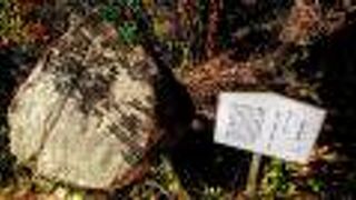 ぶんがくのこみち