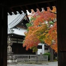 山門から内部を望む