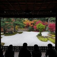 縁側から並んでみることができました