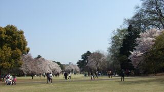 都心で自然に触れられる場所