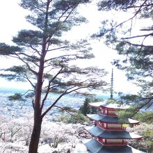 撮影スポットの後ろ側から。