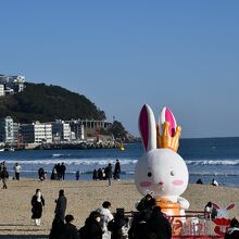 海岸の風景