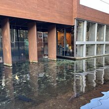 水族館前の鯉の池