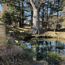 資料館の中にある３番霊場の底抜池