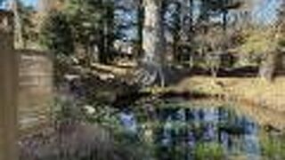 忍野八海のひとつはこの施設の中