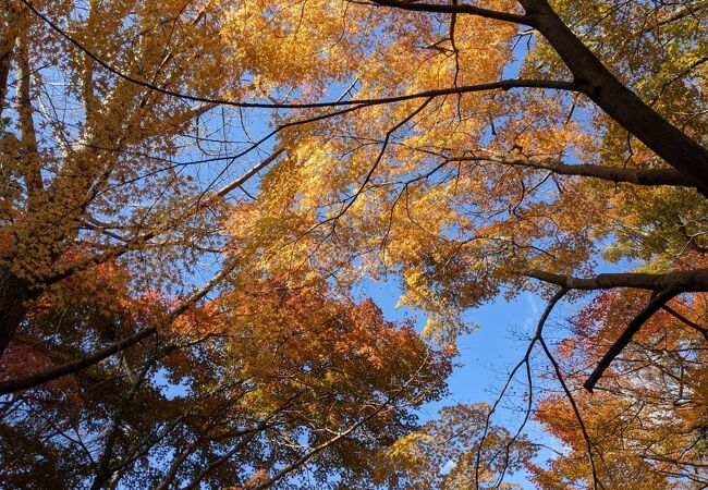 鈴鹿国定公園