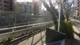 傍の桜が咲くのはもう少し時間がかかりそう