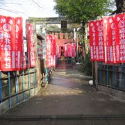 ソメイヨシノ発祥の地に建つ神社です