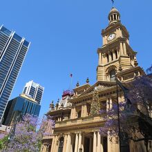 昼に見てみたら、正面上階テラスにクリスマスつりーがありました