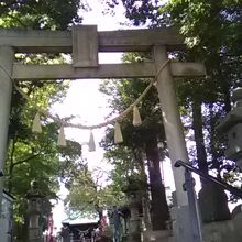 住宅街の高台にある静かな神社です