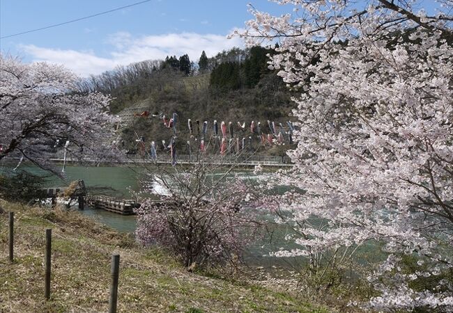 白鷹ヤナ公園